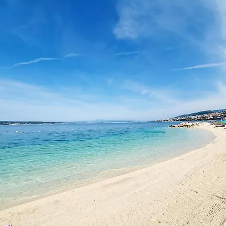 Mobile Sunflower - Campsite *