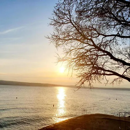 Campsite Mobile Sunflower -