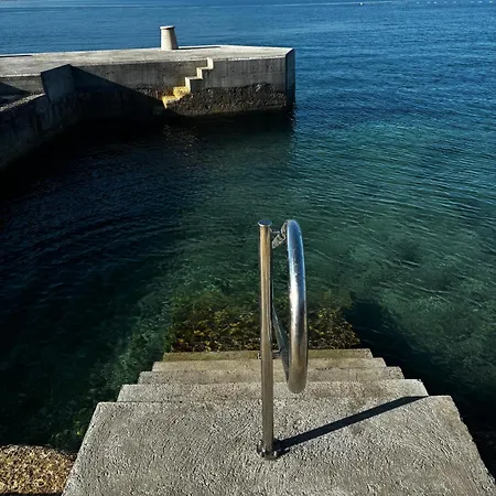 Mobile Sunflower - Campsite *