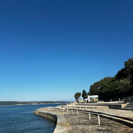 Mobile Sunflower - Campsite Selce