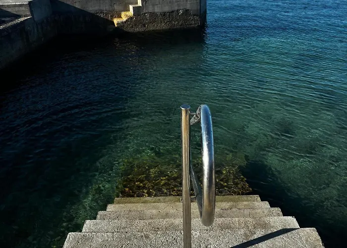 Mobile Sunflower - Campsite *