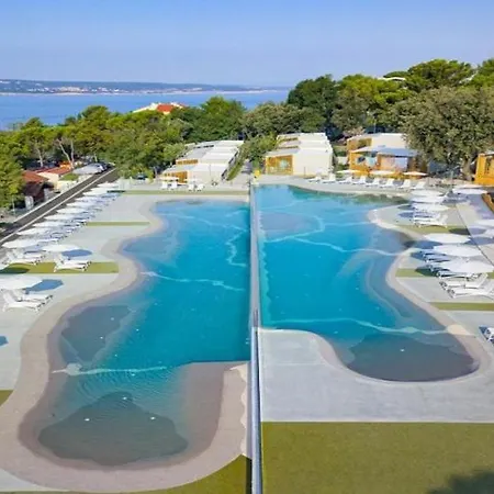 Mobile Sunflower - *