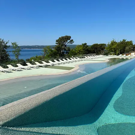 Mobile Sunflower - Selce